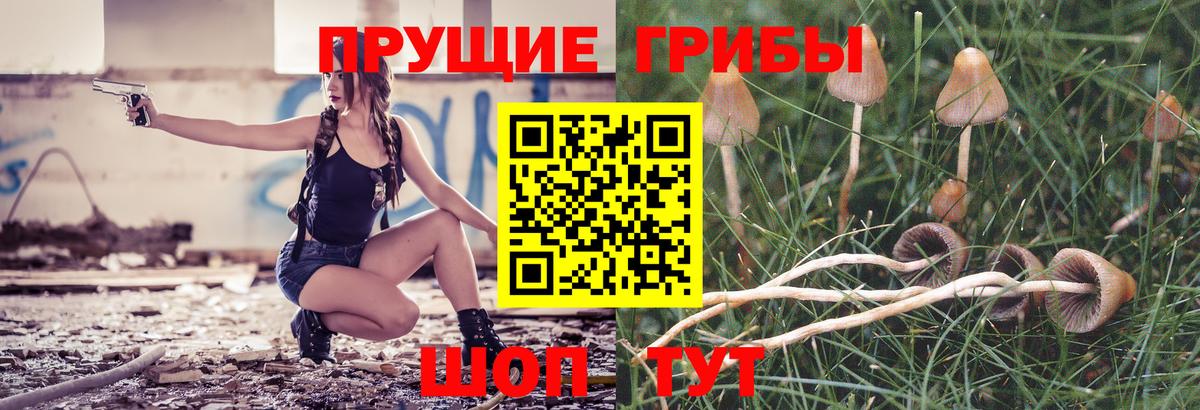 Псилоцибиновые грибы прущие грибы Хасавюрт