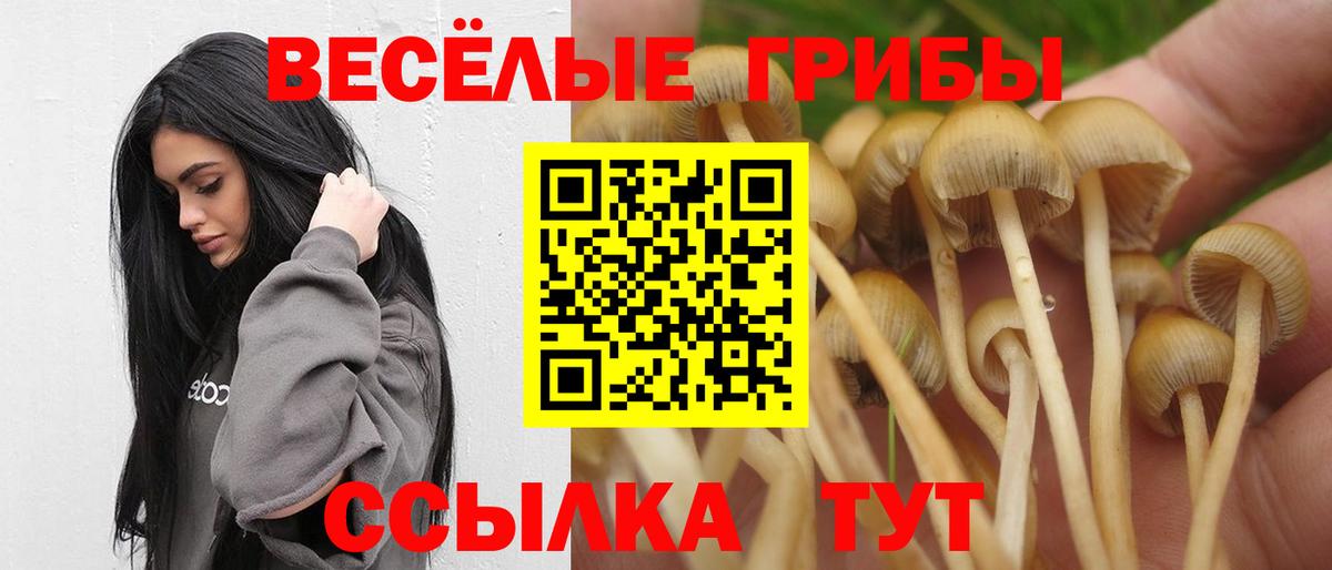 Хасавюрт  Псилоцибиновые грибы ЛСД  Вход с VPN 